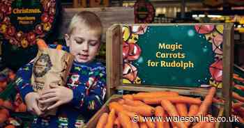 Morrisons giving customers free bags of wonky carrots to help with Rudolph tradition