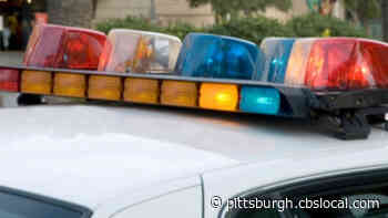 Allegheny County Police Investigate Alleged Kidnapping
