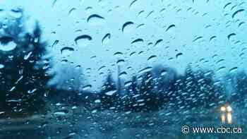 Parts of New Brunswick to be drenched by up to 65 mm of rain
