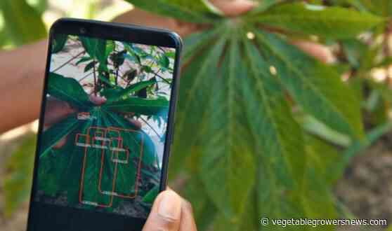 Use of artificial intelligence for crop health supported by grant