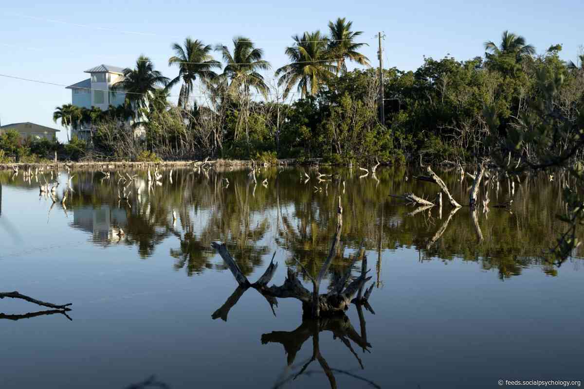 As Seas Rise, Some Places Can't Be Saved, Warn Florida Keys Officials