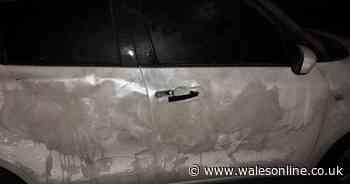 Man 'booted the s**t' out of car causing thousands of pounds worth of damage