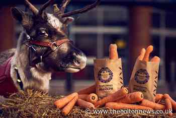 Morrisons is giving out free wonky carrots for Rudolph
