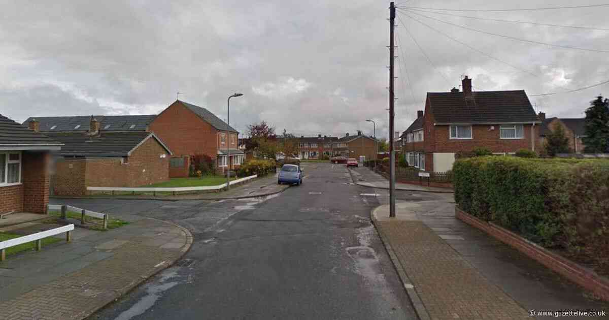 Man with 'large belly and posh accent' indecently exposed himself to teen girl