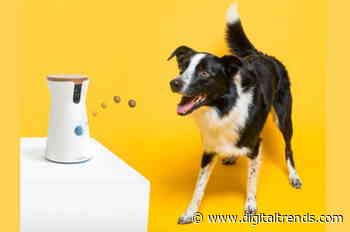 Furbo treat-tossing dog camera $100 off in the Best of Amazon’s 12 Days of Deals