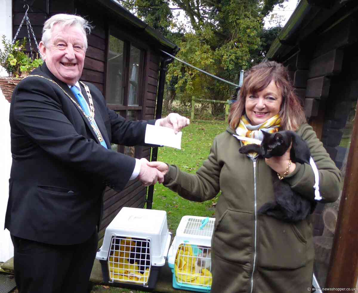 Bromley Mayor adopts three kittens from Downe rescue centre