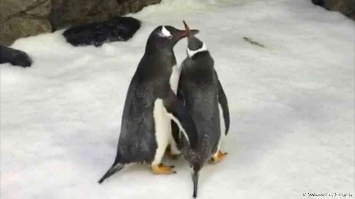 Homosexuality May Play Key Role in Evolution, Say Scientists