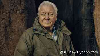 Sir David Attenborough to front ‘mind-blowing’ look at world of plants