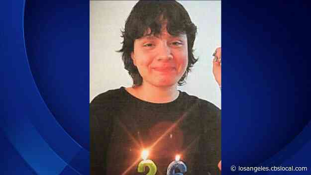 Investigators Seek Answers About Woman Who Vanished From South LA In October