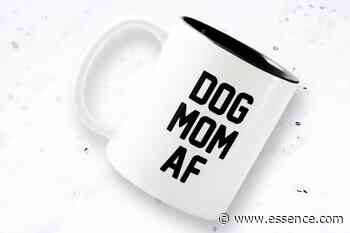 Best Holiday Gifts For The Dog Owners