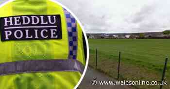 Man arrested after alleged sex attack on 16-year-old girl in Milford Haven