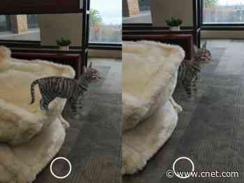 Google's new phone AR update can hide virtual things in the real world     - CNET