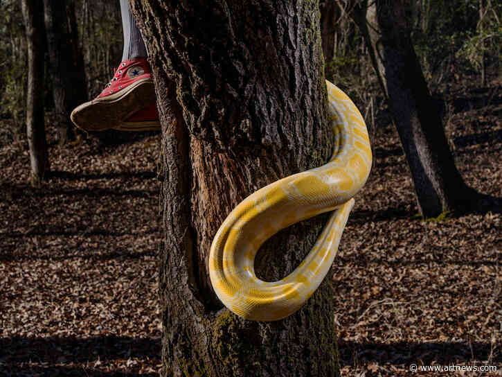 ARTnews in Brief: High Museum of Art to Host Live Lab Photography Residency—and More from December 9, 2019