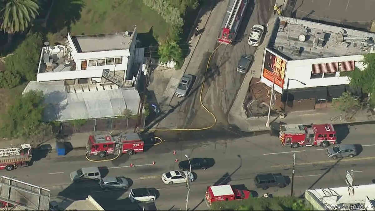 Man Seriously Burned, Dog Dies After Fire Engulfs Hillside Home In Los Feliz