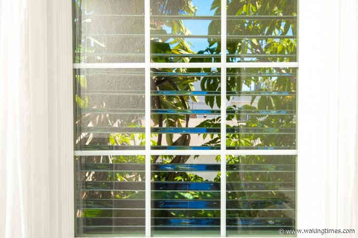 Solar Panel Blinds Can Help Power Your Whole Entire House