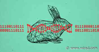 These Plastic Bunnies Got Their Own DNA Data Storage. Next up, the World?