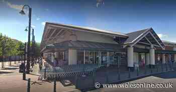 Driver crashes into two cars, assaults a pregnant woman and threatens to rape policeman's wife during two hour rampage in Neath