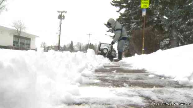 City calls neighbourly snow angels to action with annual campaign