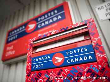 Police recover stolen mail and lay charges
