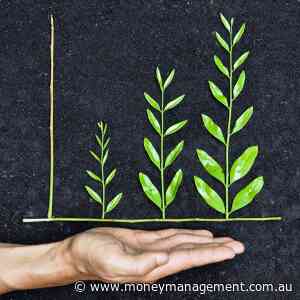 Financial quality metrics and ESG factor can impact equity markets