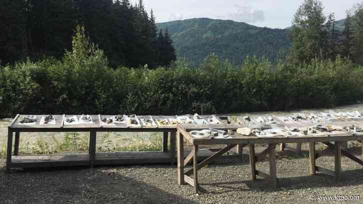 The Palmer Project, a mining prospect outside Haines, could transform into a large-scale operation