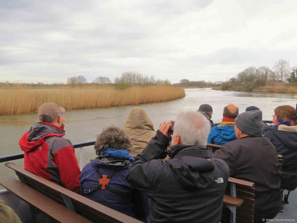 Bekijk de wintervogels langs de Zeeschelde