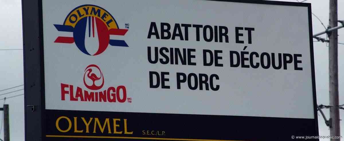 Les syndiqués d'Olymel de Princeville perturbent les activités de l'usine de Vallée-Jonction