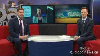 What are Albertans saying about Wexit?