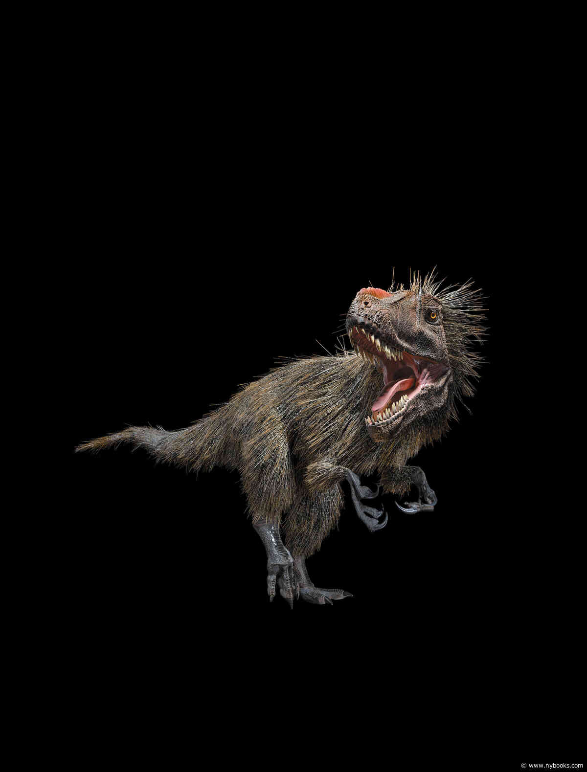 Imagine what life was like 245 million years ago. Hard, isn&rsquo;t it? Forget fossils &mdash; the <strong>world of dinosaurs</strong> is inherently unfathomable to us