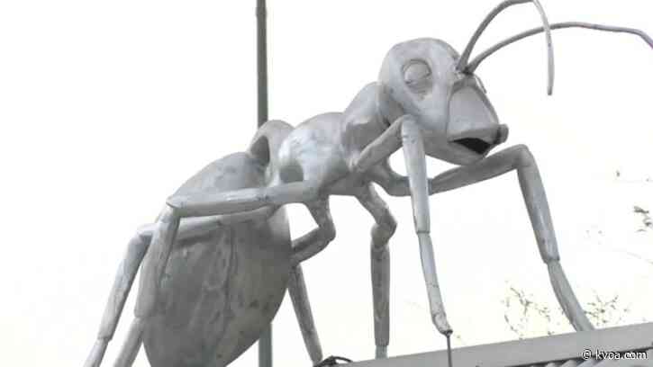 Check it out: local non-profit installs ant sculpture