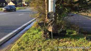 Zes superflitsers waken over Limburgse wegen