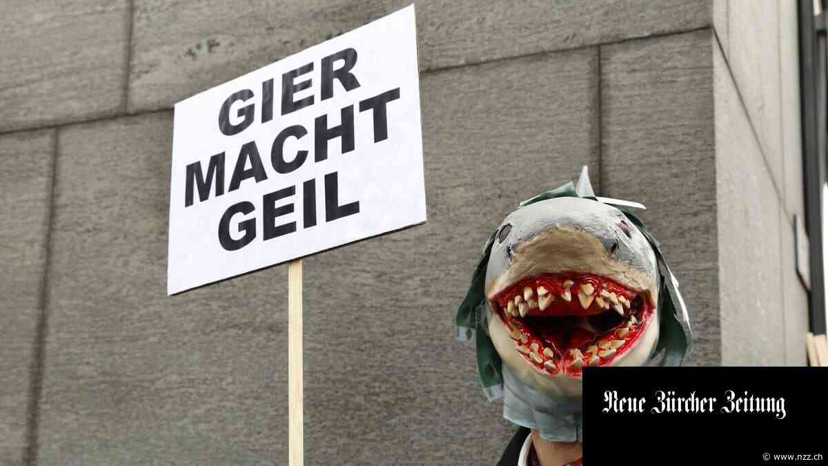 Und der «Miethai», der hat Zähne