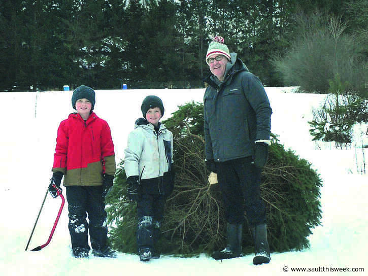 Go green; go for a live tree, Sault North urges