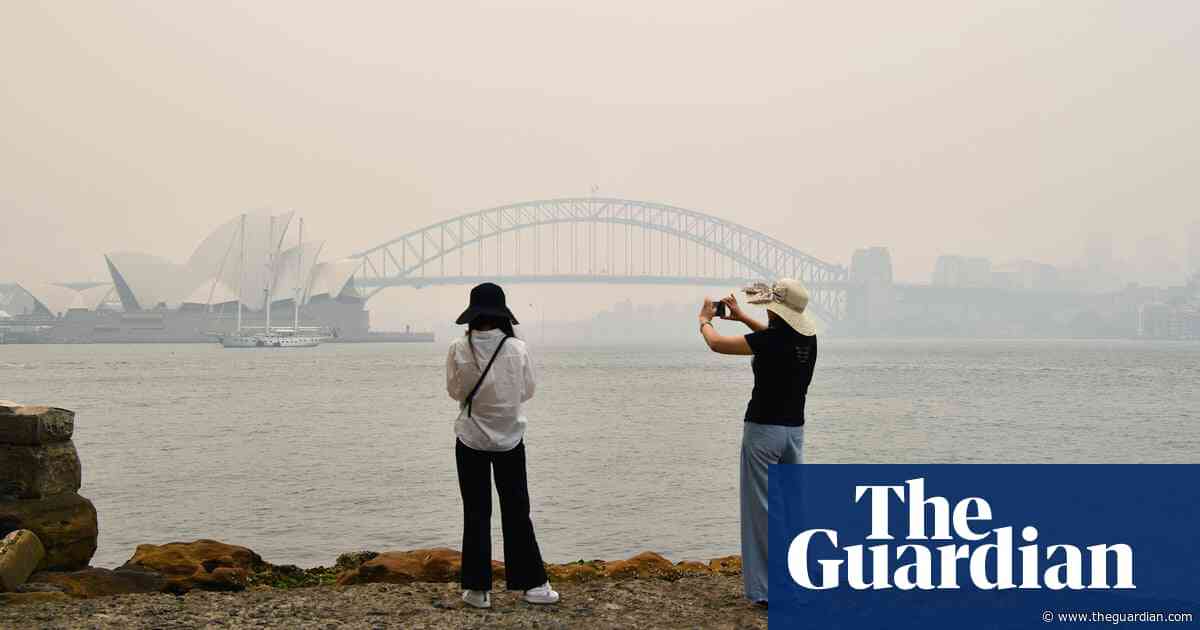 NSW bushfires: doctors sound alarm over 'disastrous' impact of smoke on air pollution