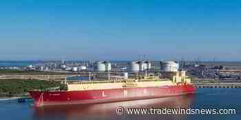 Cheniere locks in 12 newbuilds on long-term charters
