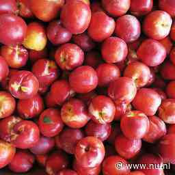 'Restanten van hormoongif op groenten en fruit in Nederlandse winkels'