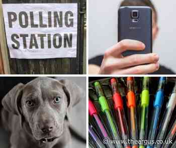 Election polling station rules - selfies, dogs, voting