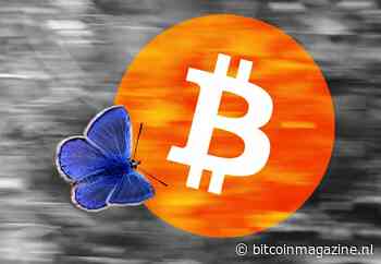 Bitcoin (BTC) in 2011: miner brengt eerbetoon aan Satoshi