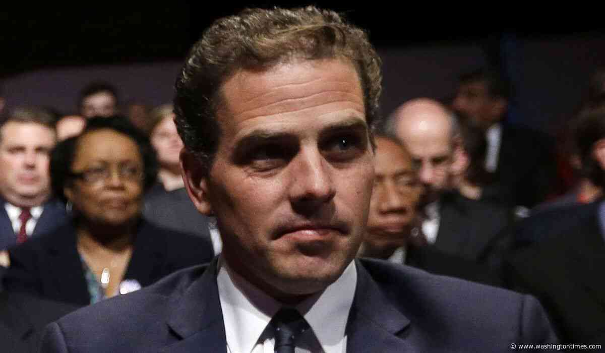 Hunter Biden, Joe Biden's son, undercuts 'No Malarkey' message