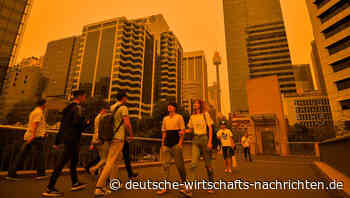 Sydney versinkt im Rauch: Feuerinferno steuert auf die Millionenstadt zu