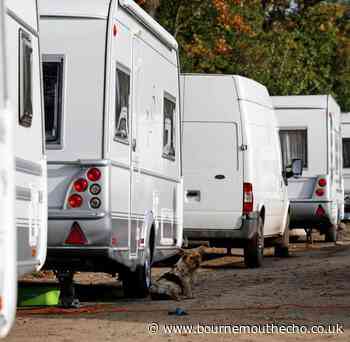 Dorset Traveller vans counted by council