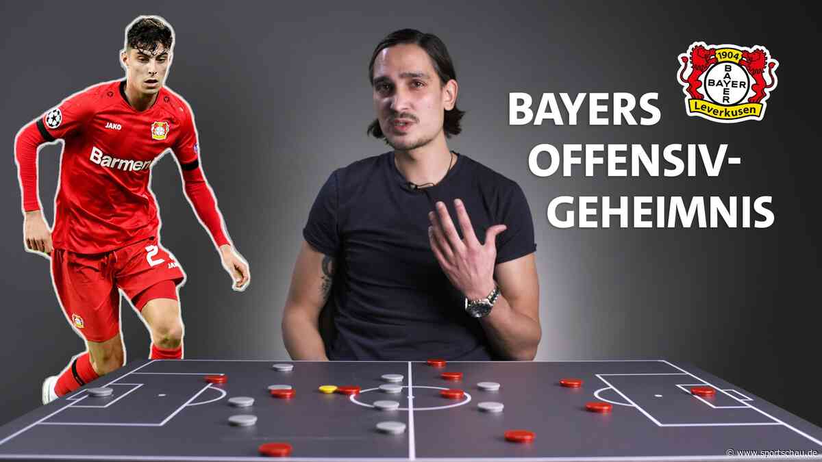 Broich & Polenz: Bayers Offensivgeheimnis