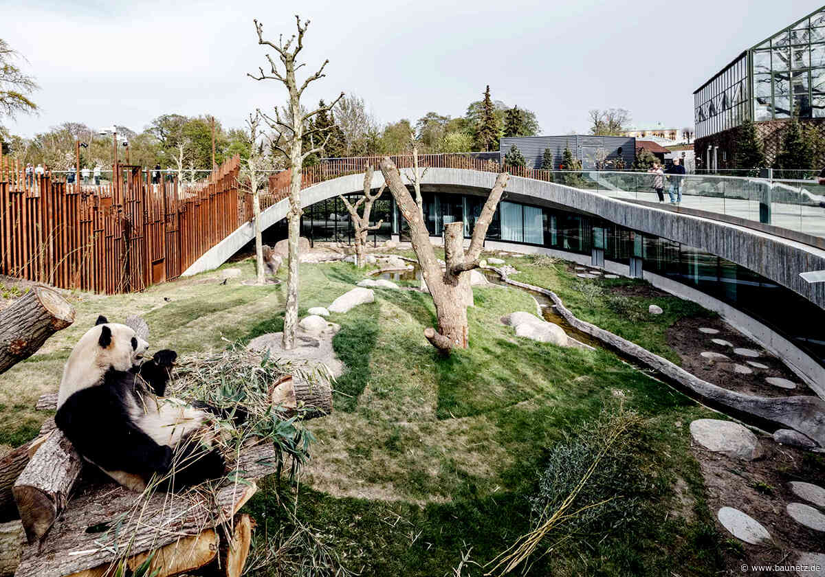 Zwei Bären im Kreisrund
- Panda-Anlage von BIG im Zoo Kopenhagen