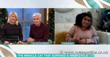 Woman performed CPR on kitten after it got stuck in washing machine