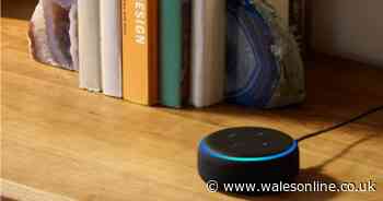 The Amazon Echo Dot deal for under £10 is back for Christmas