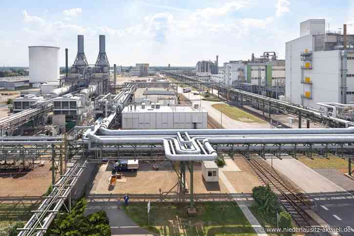 Fabrik für Batteriekomponenten in Schwarzheide? BASF Entscheidung steht aus