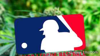 MLB Lifts Weed Ban For Minor Leaguers, Eliminates Marijuana Testing