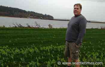 Chemicals contaminate Whidbey Island storm-water runoff from Naval Air Station
