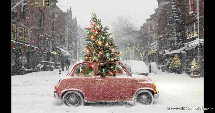 Codice della Strada, ecco come trasportare l’albero di Natale in tutta sicurezza