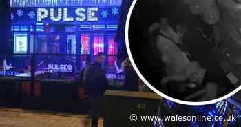 Clubber falls down a flight of steps and doesn't spill a drop of her wine